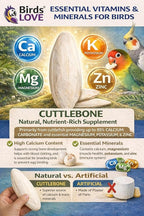 Farm to Feathers™ Bird Economy Millet & Cuttlebone Bundle – USA Grown Millet Sprays for Parakeets, Budgies, Cockatiels, Finches & Canaries – 9oz (Pack of 1) + 4” Cuttlebone (4 Pack)