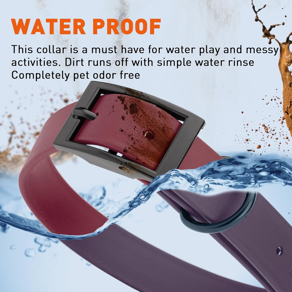 Dogline Biothane Waterproof Dog Collar Strong Coated Nylon Webbing with Black Hardware Odor- Proof for Easy Care Easy to Clean High Performance Fits Small Medium or Large Dogs, Merlot Burgundy
