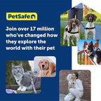 PetSafe Easy Walk No-Pull Dog Harness-Ultimate Harness to Help Stop Pulling -Pull-Free Walks-Control & Teach Better Leash Manners-Patented Martingale Loop Design-Charcoal Gray,Small/Medium (Pack of 3)