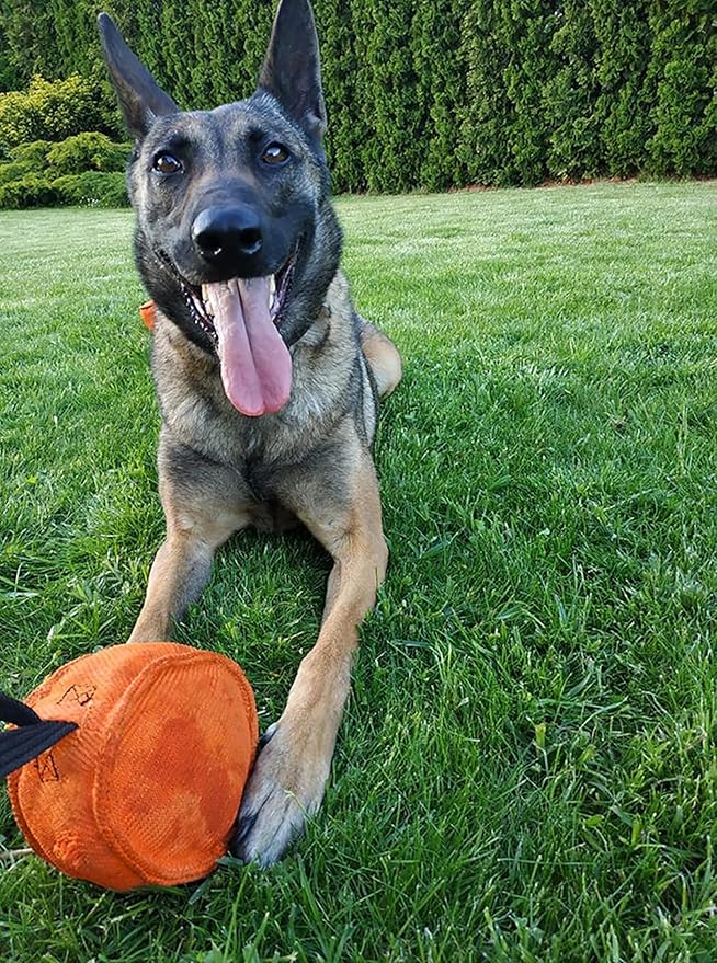 Dingo Gear Dog Tug Toy for Strong Dog, Bite Training, IGP, Fun, French Linen Drum, 5,5x3,1" Orange Berta S00094