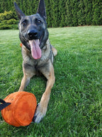 Dingo Gear Dog Tug Toy for Strong Dog, Bite Training, IGP, Fun, French Linen Drum, 5,5x3,1" Orange Berta S00094