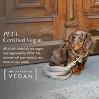 Rio Dog Collar Saffiano Vegan Leather Color Gold Size M