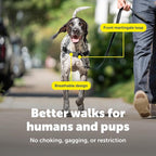 PetSafe Easy Walk Harness, No Pull Dog Harness, Raspberry, Medium/Large | Patented Martingale Loop Gives Gradual Shoulder Pressure to Stop Pulling, Front-Chest Leash Clip Prevents Gagging