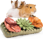 TEEWY 4PCS Guinea Pig Chew Toys, Prevent Teeth Overgrowth, Natural Vegetables and Timothy Grass, Hamster Chew Toys, Guinea Pig Toys, Chinchilla Toys, Grass Patch & Flowers