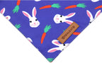 Realeaf Easter Dog Bandanas 2 Pack, Triangle Reversible Pet Scarf for Boy and Girl, Premium Durable Fabric, Holiday Bandana for Small Medium Large and Extra Large Dogs (Small)