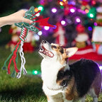SCENEREAL Christmas Dog Rope Toys, 4pcs Doggy Chew Toys with Stocking for Teething Cleaning, Squeaky Plush Puppy Toy, Interactive Dog Stocking Stuffers, Xmas Gifts for Small Medium Large Dogs