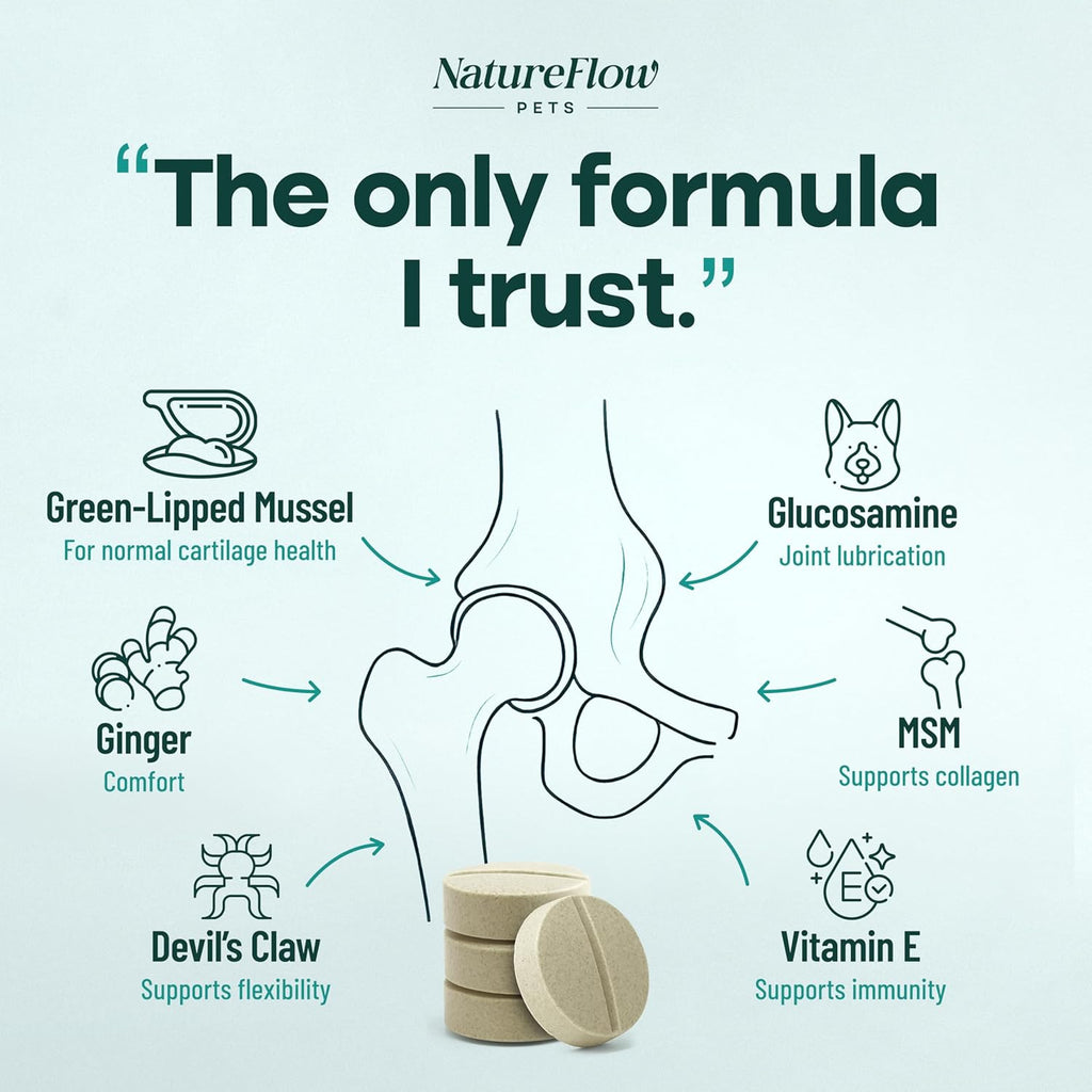 Joint Supplement for Dogs, Power of Nature Made in USA, Unique Formula: Green-Lipped Mussel, Glucosamine, Chrondroitin, MSM, Devils Claw, Hip and Joint Supplement, All Breeds - 200 ct
