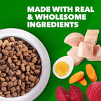 IAMS Proactive Health Minichunks Adult Dry Dog Food with Real Chicken, 15 lb. Bag