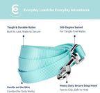 Blueberry Pet Essentials Mint Blue Dog Leash for Medium - 5' * 3/4" Dogs | Heavy Duty Nylon Lead | Lightweight Puppy & Cat Leash for Walking & Training