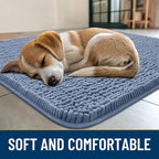 Smiry Dog Door Mat for Muddy Paws 40x32, Absorbs Moisture and Dirt Doormat, Non-Slip Washable Quick Dry Chenille Front Door Mat Indoor Entrance, Entryway Carpet for Inside Floor, Airy Blue