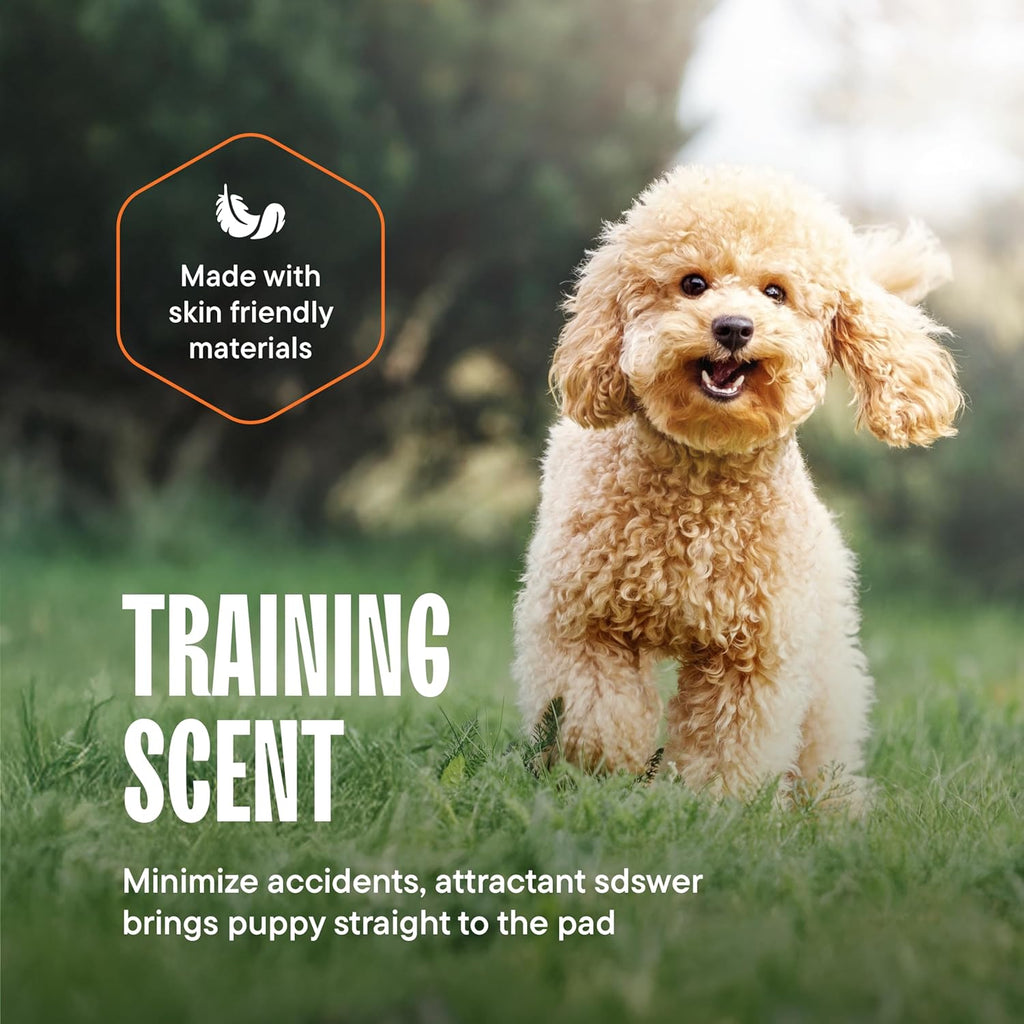 Puppy Pads Pet Pee Pads for Dogs & Puppy Training - 100 Count - Potty Pads for Dogs 22" x 22" Leak-Proof Dog Pee Pads - Quick-Dry Surface - Heavy Duty Absorbent Disposable Dog Wee Pad Bulk Pack