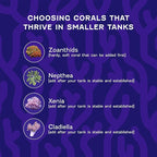 Coralife Fish Tank Aquarium Garlic Xtreme Attractant and Food Supplement for Saltwater Marine or Freshwater Fish, 1 oz