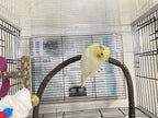 Parrot Perch Stand Bird Cage Stand Pole Natural Wild Grape Stick Grinding Paw Cage Accessories for Parakeet Cockatiels Budgies Conure Lovebirds Platform (U-Shaped)