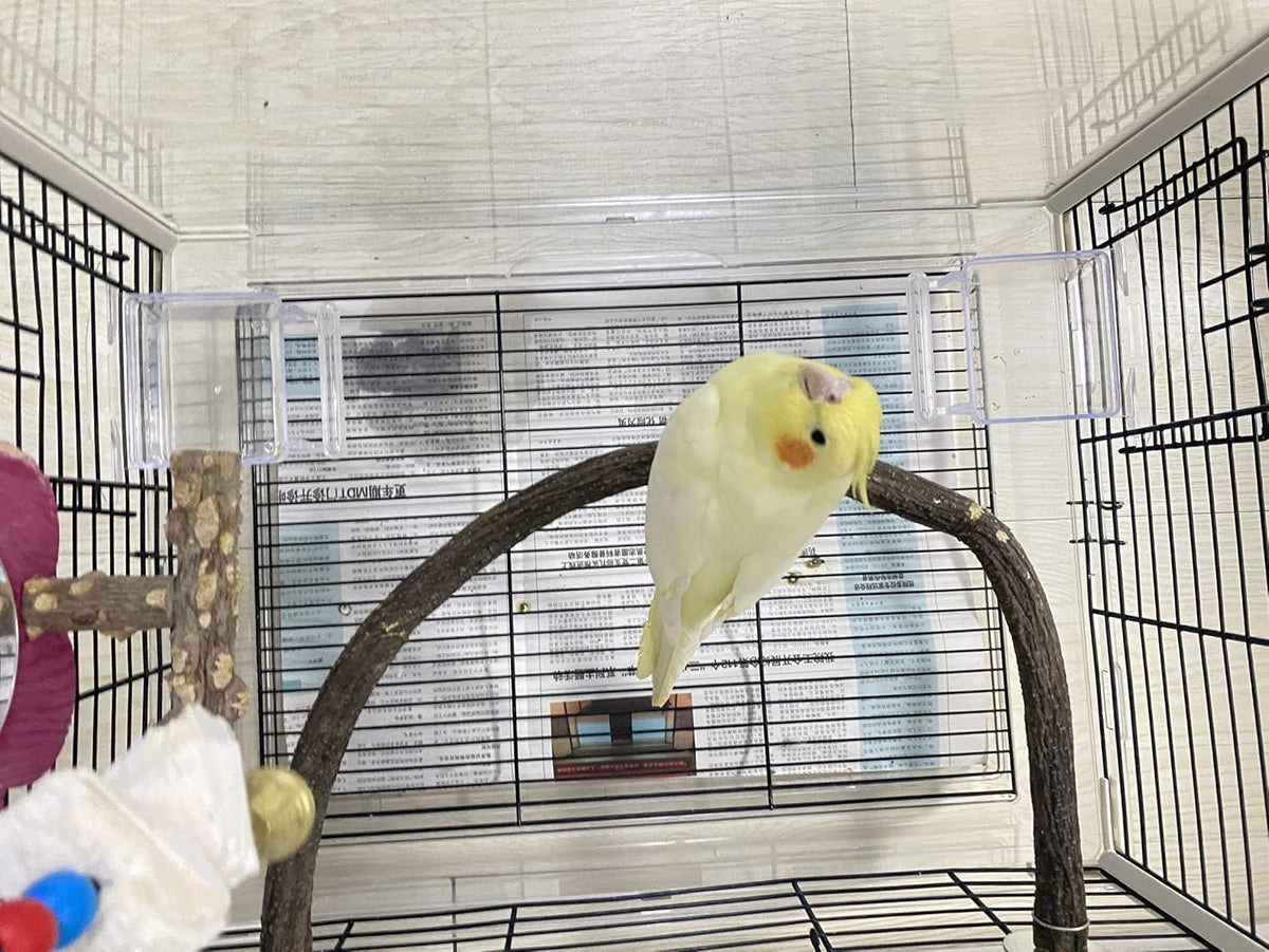 Parrot Perch Stand Bird Cage Stand Pole Natural Wild Grape Stick Grinding Paw Cage Accessories for Parakeet Cockatiels Budgies Conure Lovebirds Platform (U-Shaped)
