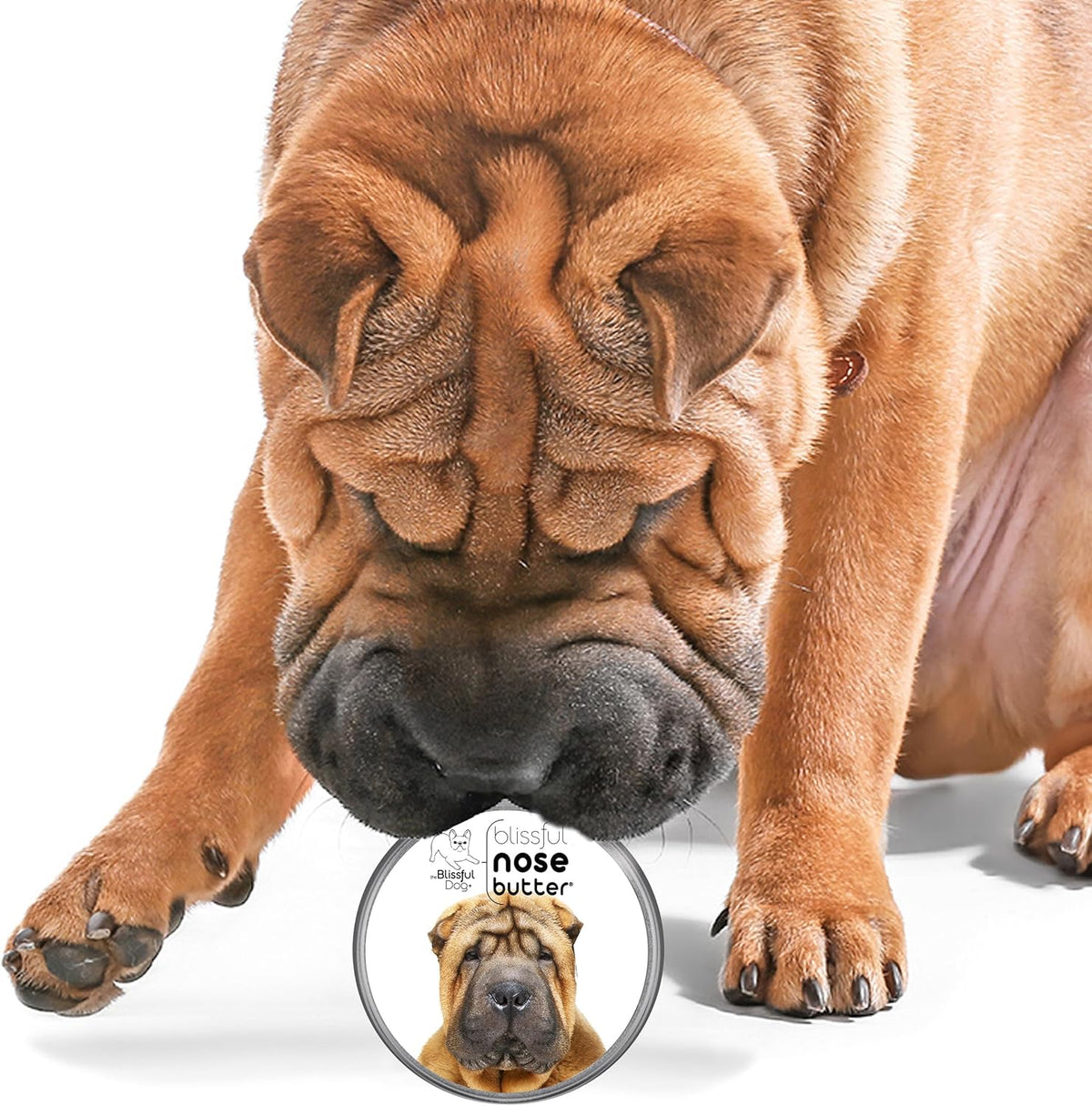 The Blissful Dog Chinese Shar-Pei Nose Butter for Dry, Cracked Skin, Lick-Safe Dog Nose Balm with Moisturizing Shea Butter, Almond, Olive, and Essential Oils, Pet Supplies, Uncented, 8 oz.