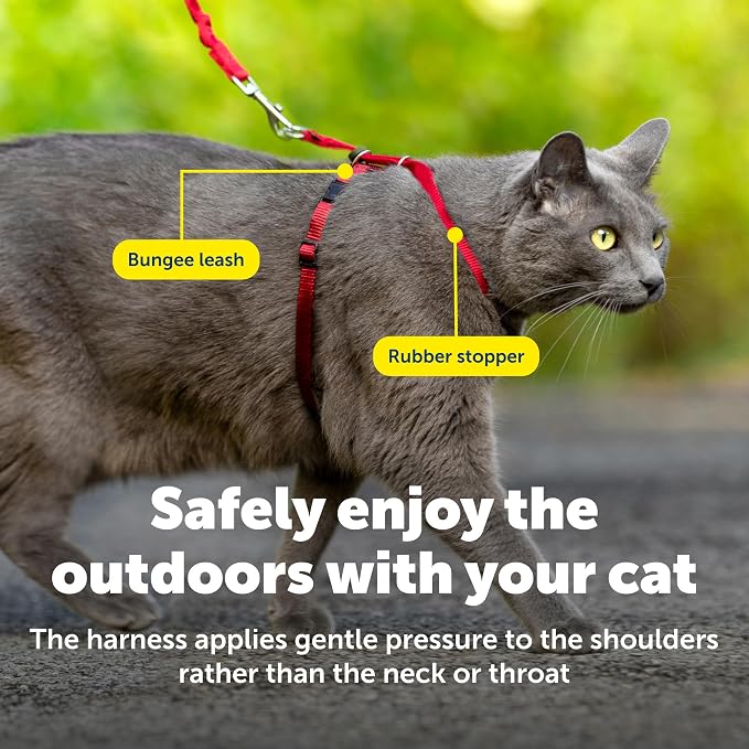 PetSafe Come With Me Kitty Harness and Bungee Leash, Harness for Cats, Small, Red/Cranberry, CWMK-S-RED | Adjustable 2-Point Fit Applies Gentle Pressure to Shoulders, Not Neck, for Kittens and Small Cats with 9 in - 11 in Girth