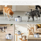BOORCA Wireless Cat Water Fountain Stainless Steel, 169oz/5L Cordless Smart Pet Water Fountain with 5000mAh Battery & Ultra Quiet Pump, Automatic Pet Water Dispenser for Cats & Dogs, 3 Filters