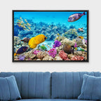 wall26 Framed Canvas Print Wall Art Tropical Underwater Ocean Sea Fish Reef Nature Animals Realism Rustic Scenic Landscape Wilderness Earth Colorful for Living Room, Bedroom, Office - 24"x36" Black