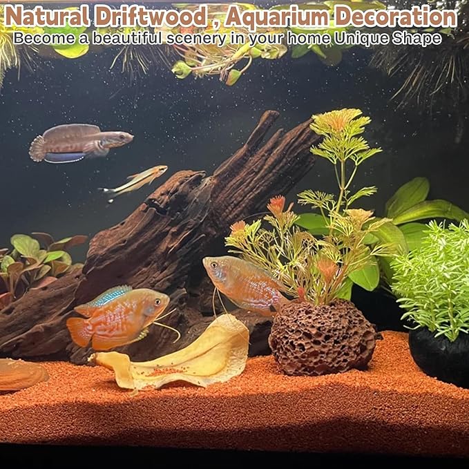 PINVNBY Natural Driftwood for Aquarium Decor Fish Tank Decorations Reptile Decor Driftwood Decor, 3 Pieces 7"-11" Assorted Driftwood Branch
