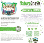 Nature Gnaws Bully Stick Bites for Small Dogs 2-4" (8oz) - Long Lasting for Light Chewers and Puppies - Natural Beef Dog Chew Treats - Rawhide Free