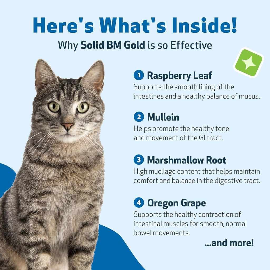 Pet Wellbeing BM Tone-Up Gold for Dogs & Cats - Supports Healthy Digestive Function, Solid Stools, Normal Bowel Movements, Bayberry - Veterinarian-Formulated Herbal Supplement 4 oz (118 ml)