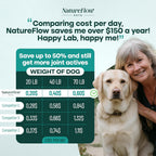 Joint Supplement for Dogs, Power of Nature Made in USA, Unique Formula: Green-Lipped Mussel, Glucosamine, Chrondroitin, MSM, Devils Claw, Hip and Joint Supplement, All Breeds - 100 ct