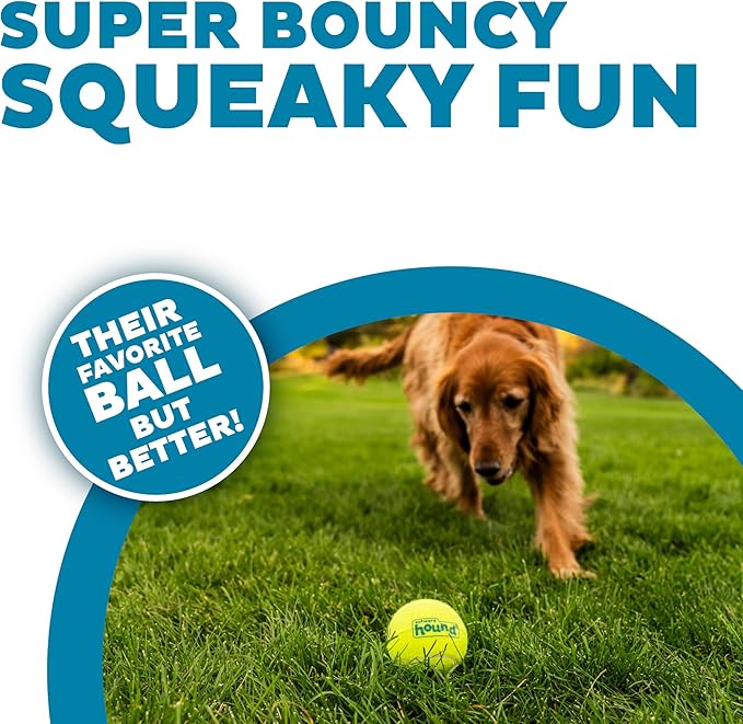 Outward Hound Squeaker Ballz 4-Pack Tennis Ball Dog Toys with Squeaker, Interactive Fetch Play for Pets 50 lbs and Over, Training Balls for Indoor & Outdoor Exercise, Large, 3-inch