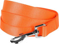 Blueberry Pet Essentials Florence Orange Dog Leash for X-Small -5' * 3/8" Dogs | Heavy Duty Nylon Lead | Lightweight Puppy & Cat Leash for Walking & Training