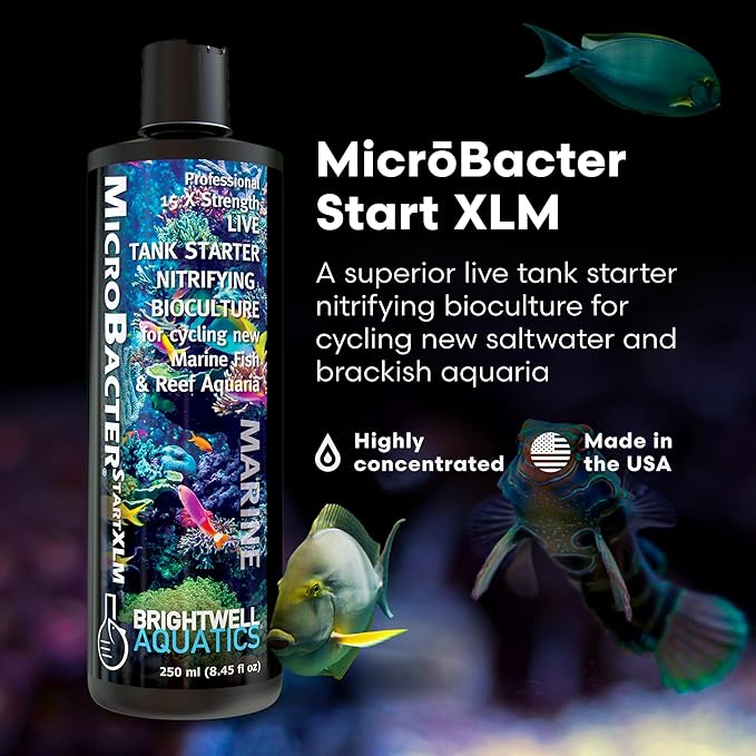 Brightwell Aquatics MicroBacter Start XLM - Concentrated Saltwater Nitrifying Bacteria - Quick Start Fish Tank Starter, Lift Microbe Levels & Water Filtering - Marine Aquarium Treatments, 8.45 fl oz