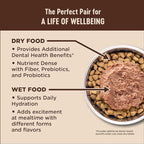 Wellness CORE Grain-Free Kitten Formula Dry Cat Food, 5 Pound Bag (Pack of 2)