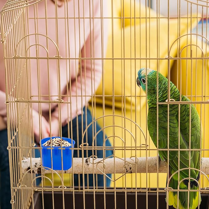 40 Pcs Cage Cups Birds Feeders Bird Water Dispenser Hanging Quail Waterer Plastic Chicken Feeding Watering Dish for Small Coop Parrot Parakeet PET Poultry Pigeon Gamefowl Food Seed Bowl Supplies(Blue)