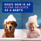 DOUXO® Skin & Coat SPA - Ultra-Safe Dog Shampoo for Itchy Skin, 16 fl oz, Skin-Friendly Formula Cleans and Soothes, Leaves The Coat Soft and Radiant