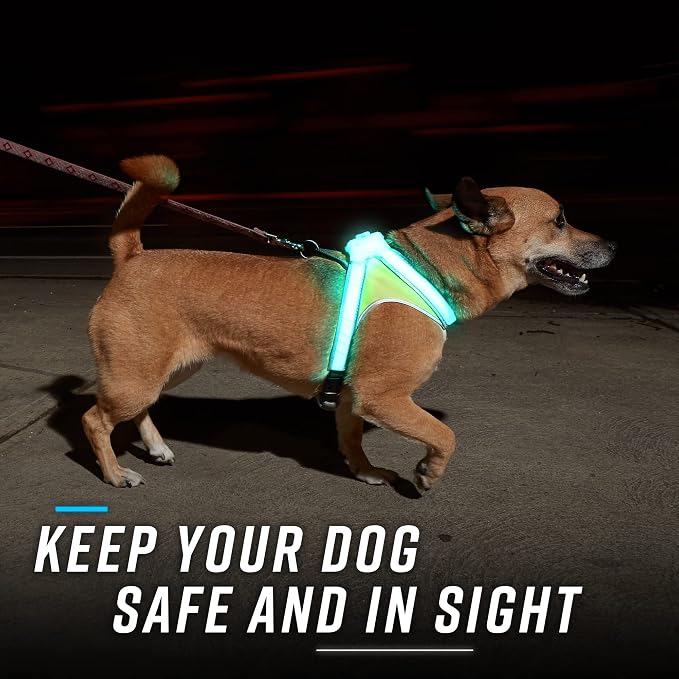 noxgear LightHound Light Up Reflective Dog Harness and Leash, X-Large | 360° Light Up Reflective Dog Harness, 8 Colors & 6 Modes, USB Rechargeable, Adjustable, Rainproof, LED Fiber Optic