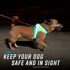 noxgear LightHound Light Up Reflective Dog Harness and Leash, X-Large | 360° Light Up Reflective Dog Harness, 8 Colors & 6 Modes, USB Rechargeable, Adjustable, Rainproof, LED Fiber Optic