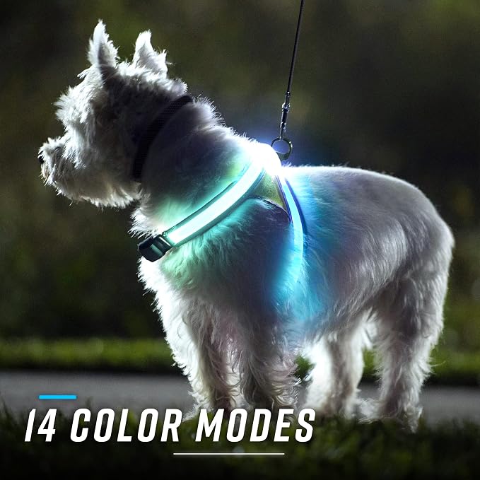 noxgear LightHound Light Up Reflective Dog Harness and Leash, X-Large | 360° Light Up Reflective Dog Harness, 8 Colors & 6 Modes, USB Rechargeable, Adjustable, Rainproof, LED Fiber Optic