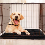MABOZOO Dog Bed, Indestructible Chew Proof Pet Bed Mat, Durable Polyester, Large 35x22 inches, Black, for Aggressive Chewers, Crate Pad, Machine Washable