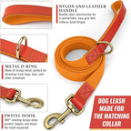 Dog Collar and Leash Set with Metal Quick Release Buckle, Adjustable, Breathable Nylon, Durable, Soft and Comfortable, No Pull for Walking and Training, Orange, L (14.9"-22.8")