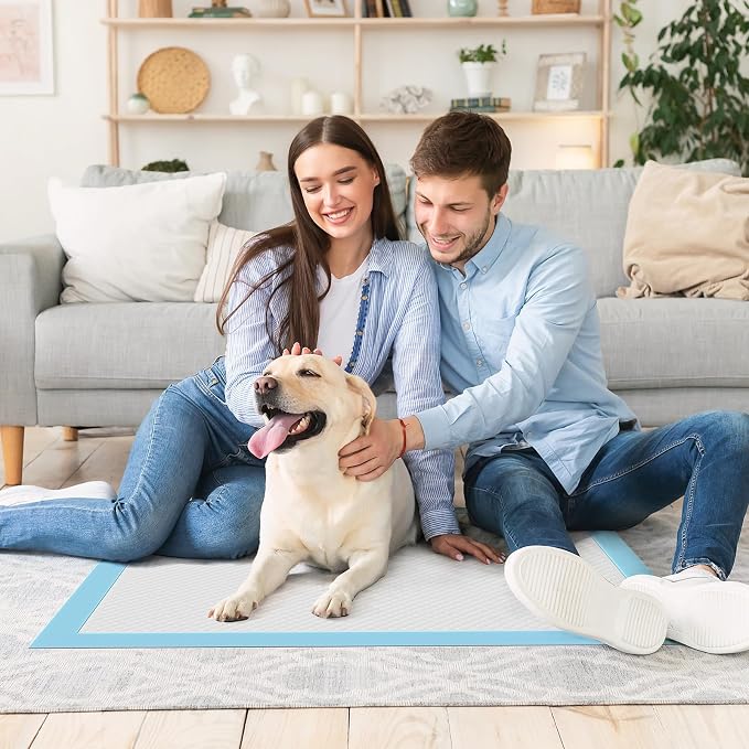 DUMOS 500 Count Puppy Dog Pads, Disposable Dogs Potty Pee Training Pads | 6-Layer Super Absorbency, Disposable Pet Leakproof Quick Drying, 22"×22"× Regular Size