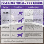 CROCI Dog Pads Extra Large 36x36in, Puppy Pads with Adhesive Tabs Super Absorbent Up to 11 Cups, Disposable (100 Counts)