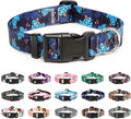 Mercano Adjustable Dog Collar - Special Design Patterns, Soft Nylon Comfortable Durable Pet Collar for Small Medium Large Dogs (XS, Monstera)