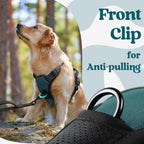 rabbitgoo Dog Harness for Large, No Pull Pet Harness with 3 Buckles, Adjustable Soft Padded Vest with Control Handle, Walking Reflective Pet Vest for Extra Large Dogs,Blue Coral,XL