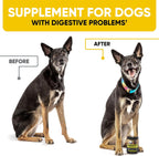 Probiotics Chews for Dogs w/Digestive Enzymes - Dog Probiotics to Support Gut Health, Alleviate Dog Itch, Soothe Itchy Skin, Dog Allergy Relief - Good for Immunity & Dog Itching Skin Relief -180 ct