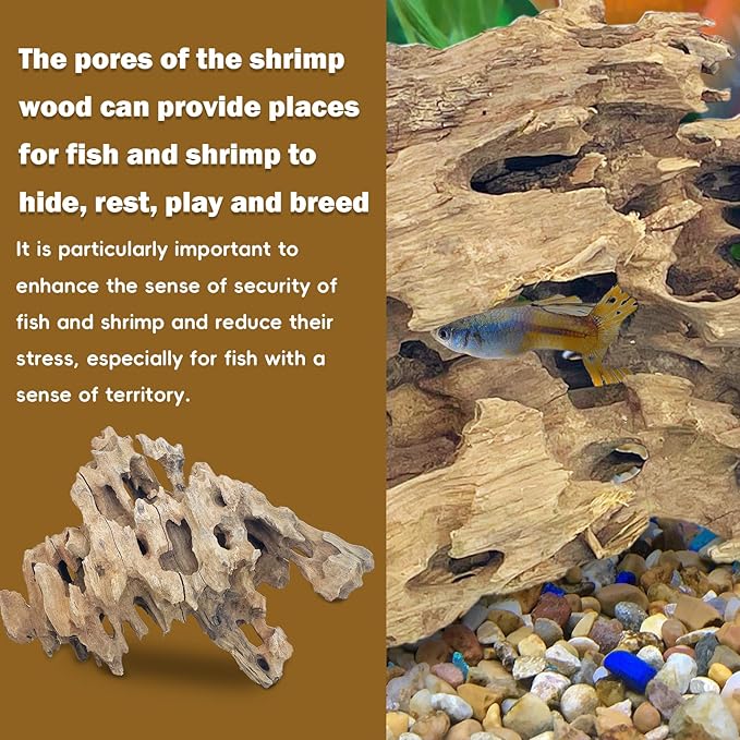 PINVNBY Natural Large Driftwood for Aquarium Reptile Terrarium Decor Decorations Assorted Branches Bearded Dragon Tank Accessories (11.5-16 inches/1 Pack)