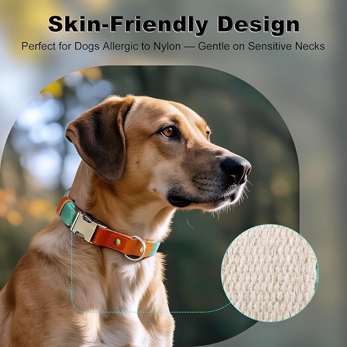 Plutus Pet Genuine Leather & Hemp Dog Collar – Adjustable Heavy Duty Pet Collar with Quick Release Metal Buckle, Soft & Stylish for Puppy and Small, Medium, Large Dogs (Green, S)