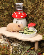 Niteangel Hamster Snack & Treats Toy - Small Animal Natural Treat for Dwarf Syrian Robo Hamsters Gerbils Mice Lemmings Degus or Other Small-Sized Pets
