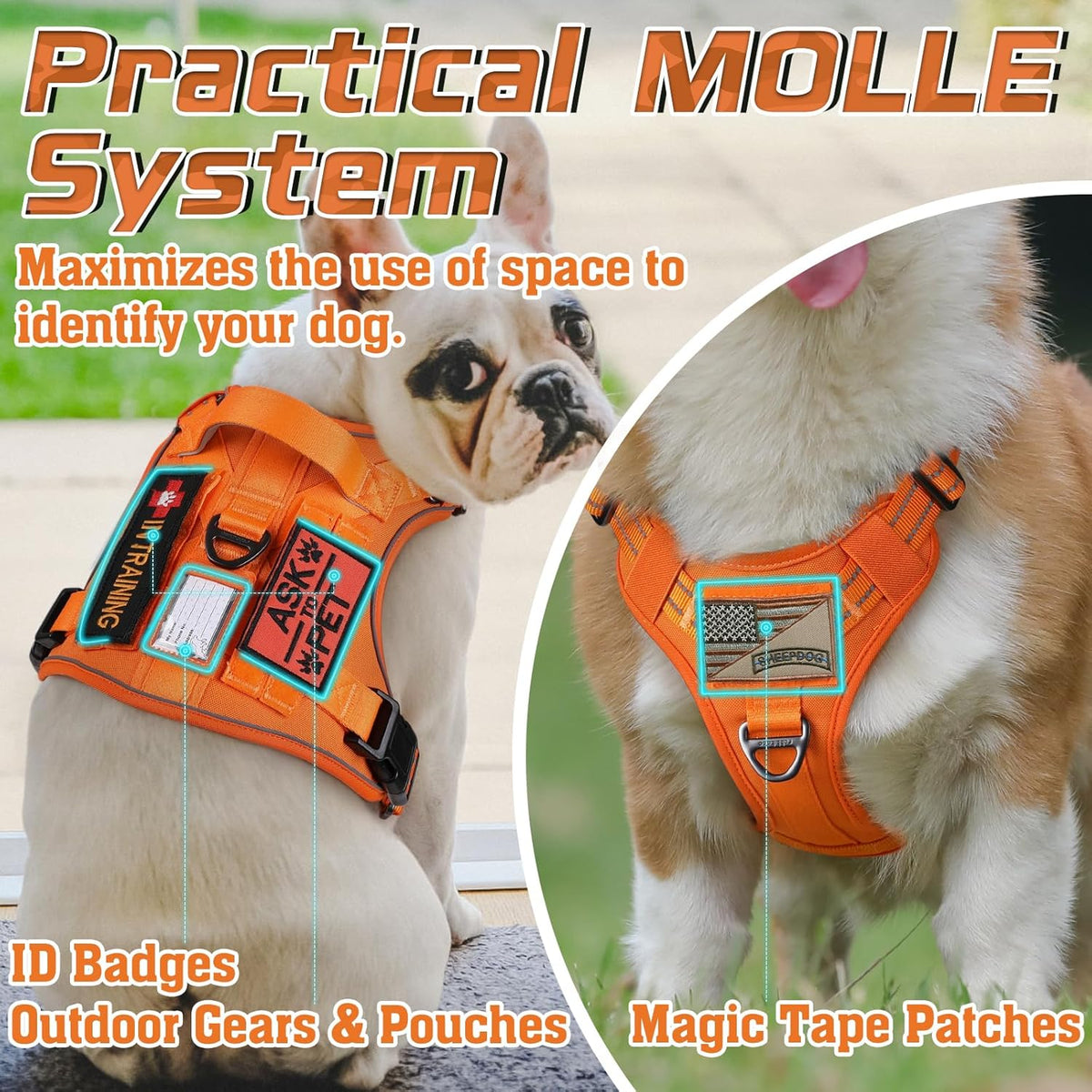 rabbitgoo Tactical Dog Harness Medium Sized Dog, No Pull Military Service Vest with Handle & Molle, Easy Control for Training Walking, Adjustable Reflective Straps, Orange, M