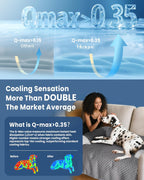 Large Cooling Dog Bed. Everyday comfort that fits naturally into your space.