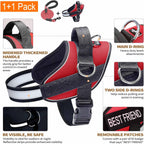 Haapaw Essential Dog Harness, No Pull Pet Vest with 3 Leash Clips, No Choke, Reflective, Adjustable and Padded, for Easy Walking and Training for Small Dogs(S, Red)