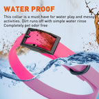Dogline Biothane Waterproof Dog Collar Strong Coated Nylon Webbing with Black Hardware Odor- Proof for Easy Care Easy to Clean High Performance Fits Small Medium or Large Dogs, Passionfruit Pink