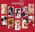 Puppytie No Pull Small Dog Harness with Multifunction Dog Leash,Lightweight Soft Adjustable No Choke Escape Proof Pet Harness Vest Pet Harness Vest,red-Camellia,S